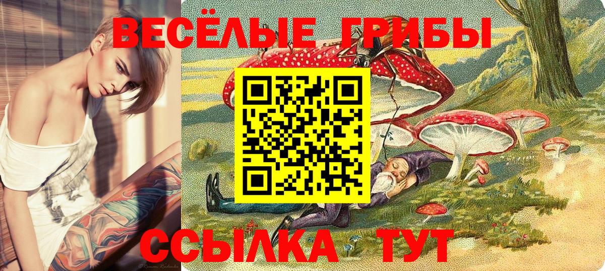 Псилоцибиновые грибы MAGIC MUSHROOMS Великий Устюг