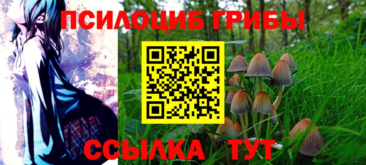 Псилоцибиновые грибы Psilocybe  Вход с VPN  наркота  Великий Устюг  Псилоцибиновые грибы ЛСД 